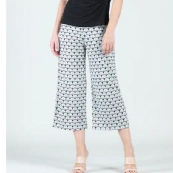 Clara Sun Woo Soft Knit Gaucho Fan Print Pant - Picture 1 of 7